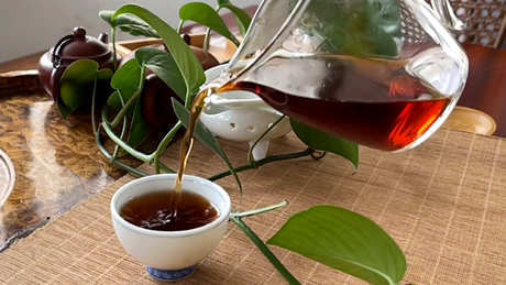 普洱茶鉴别方法的七个标准