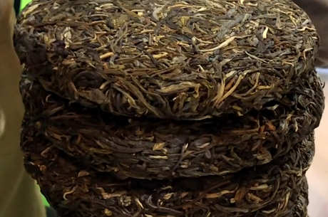 普洱茶的生产工艺流程