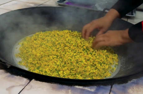 菊花茶的制作工艺