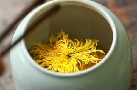 菊花茶的制作工艺