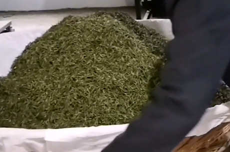 制茶工艺流程