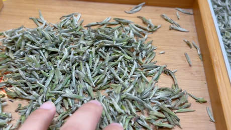 福鼎白茶口味特介绍
