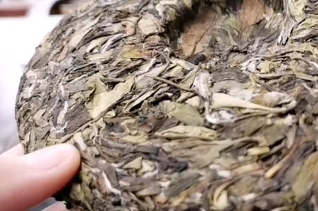 福鼎白茶口味特介绍
