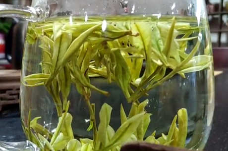 安吉白茶的特点是什么？