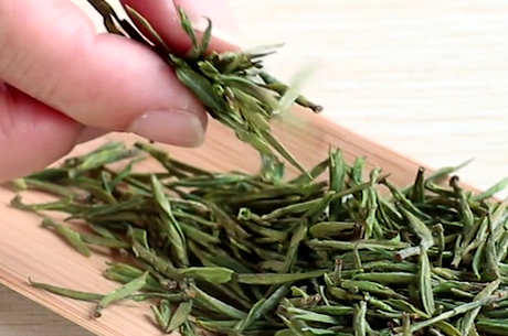 安吉白茶存放时间越长越好吗？