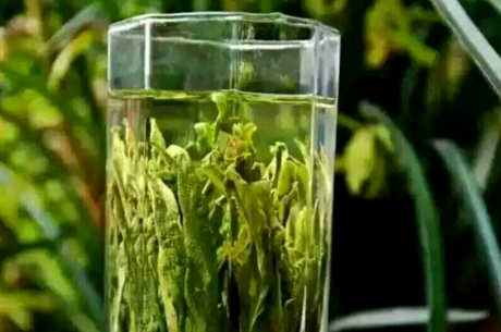 猴魁茶的产地在哪里？