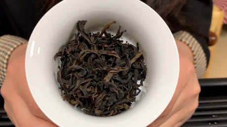 青茶有哪些品种？