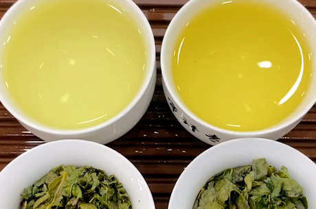 青茶有哪些品种？