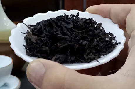 青茶有哪些品种？