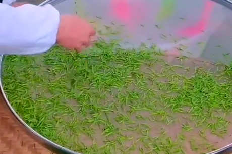 龙井茶的生产工艺