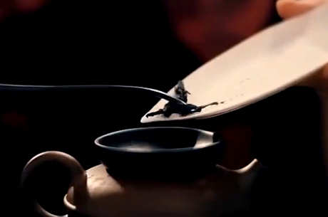正确泡茶岩茶七个步骤