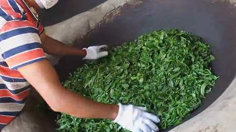 制作茶叶的详细过程