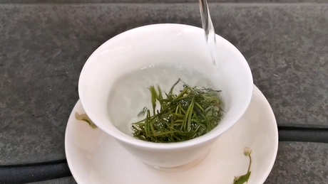 茶的营养成分是什么？