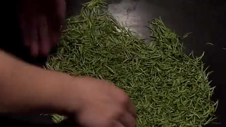 茶的制作步骤有几个