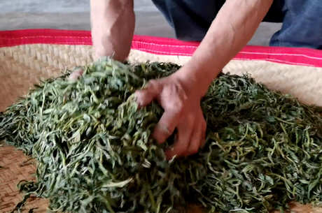 茶的制作步骤有几个