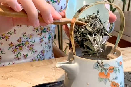 泡茶八大步骤