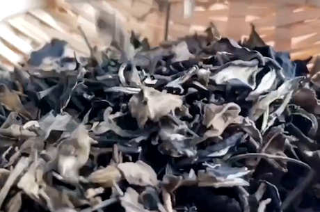 茶叶的种类和产地