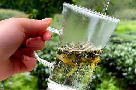 茶叶的种类和产地