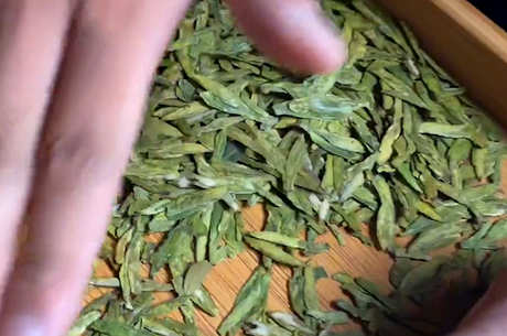 茶叶种植方法步骤