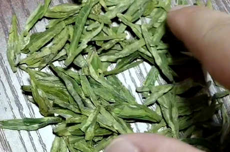 茶叶种植方法步骤