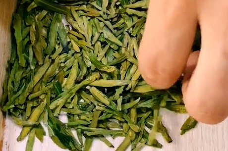 茶叶种植方法步骤