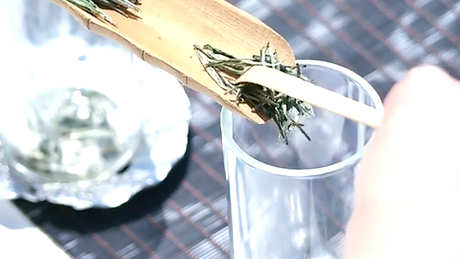 绿茶的种类有哪些？