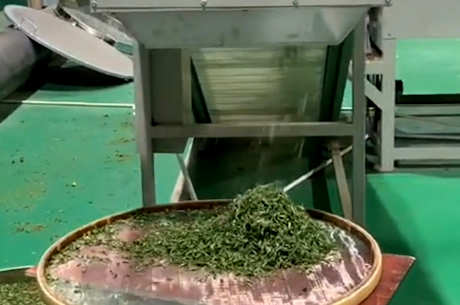 茶八步是什么？