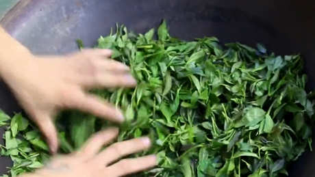 制作茶叶的基本步骤