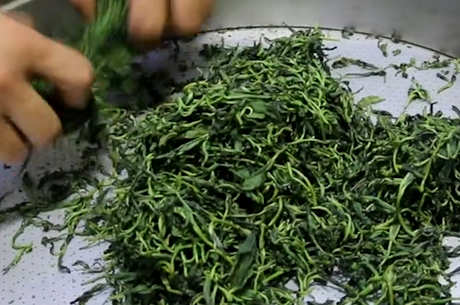 制作茶叶的基本步骤