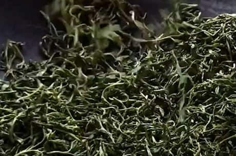 制作茶叶的基本步骤