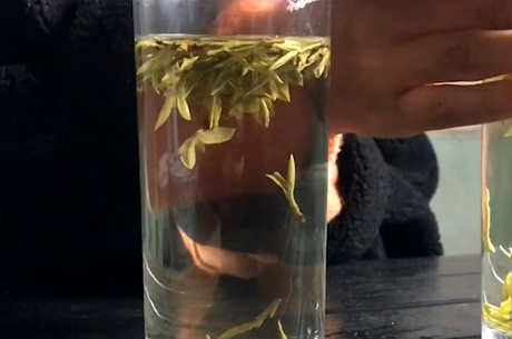 龙井正确泡茶七步