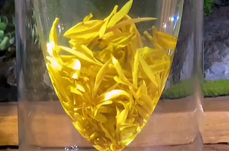 茶的分类有哪些？