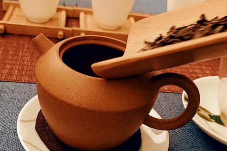 什么样的茶可以煮？