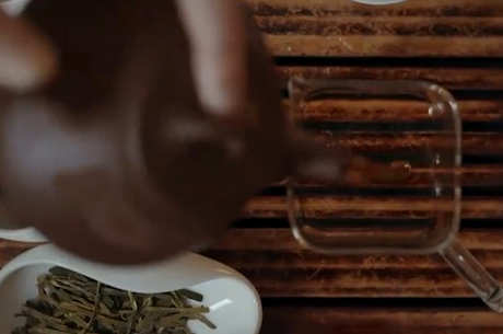 什么样的茶可以煮？