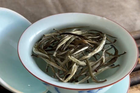 可以存放多少年的白茶？