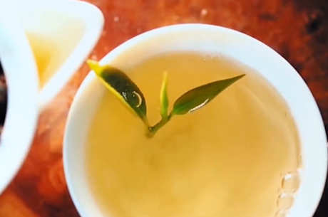 唐代茶叶有很多种