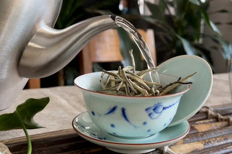 南方茶的种类