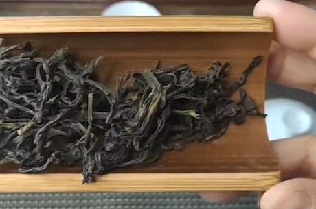 南方茶的种类