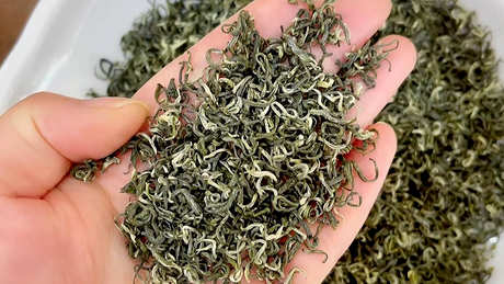 碧螺春茶在哪里？