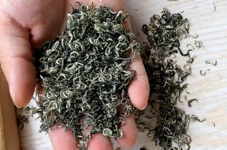 碧螺春茶在哪里？