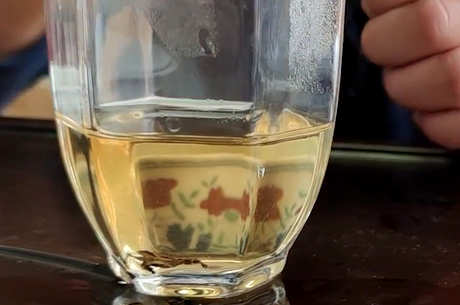 白茶怎么泡茶？