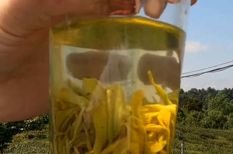 茶叶的常见类型