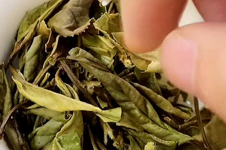 茶叶的六种类型是什么？