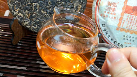 冰岛茶有哪些种？