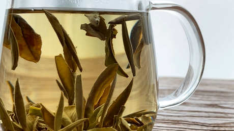 如何泡发白牡丹茶