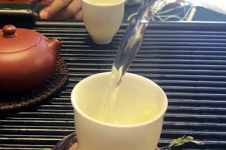 如何泡发白牡丹茶