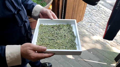 绿茶的种类和功效