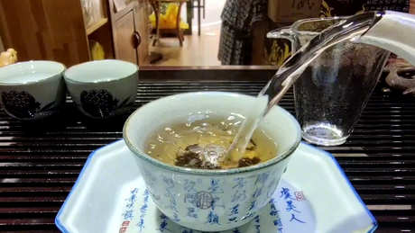 为什么普洱茶苦？