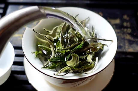 冲泡白茶的步骤