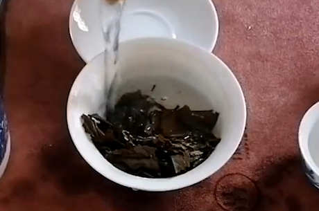 正确饮用福鼎白茶